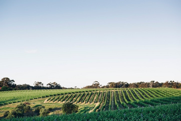 1Crenn Collaboration (3)