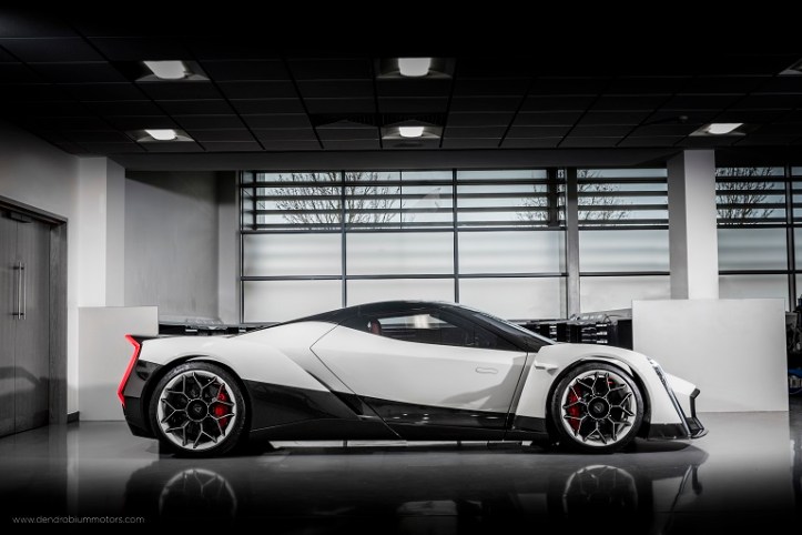 1Vanda_Dendrobium_010