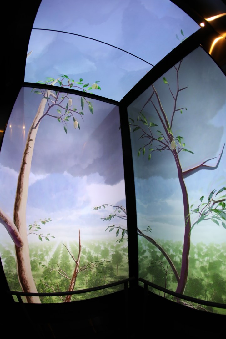 Animation in the elevator from level 4 to level 55 - 1