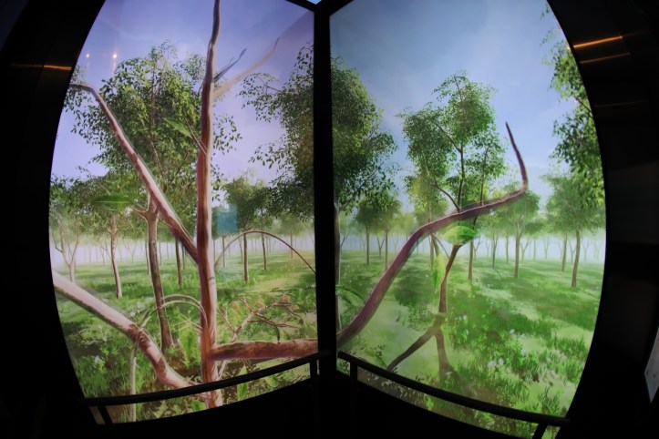 Animation in the elevator from level 4 to level 55