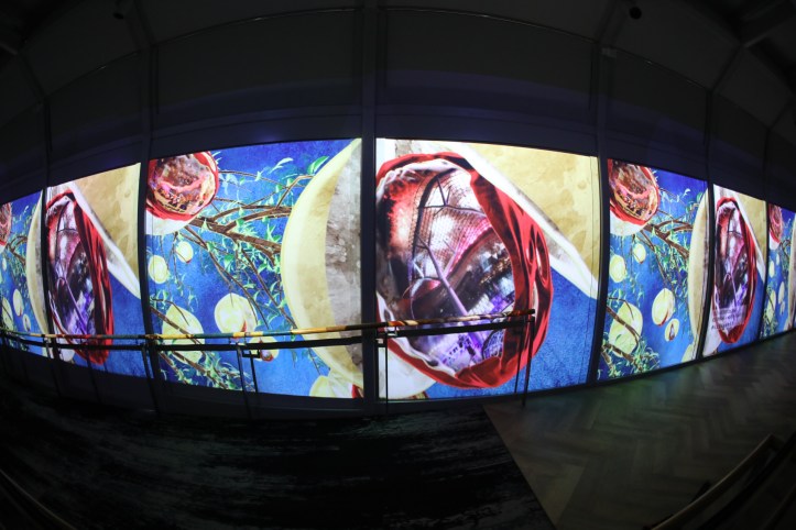 The New ION Sky Animation Show - 7