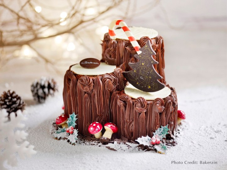 Triplette Chocolat Cake Log