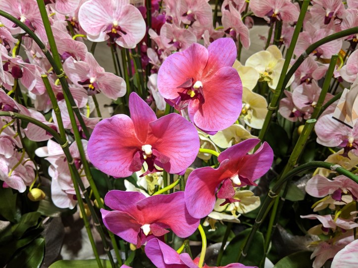 MVIMG_20171228_171908