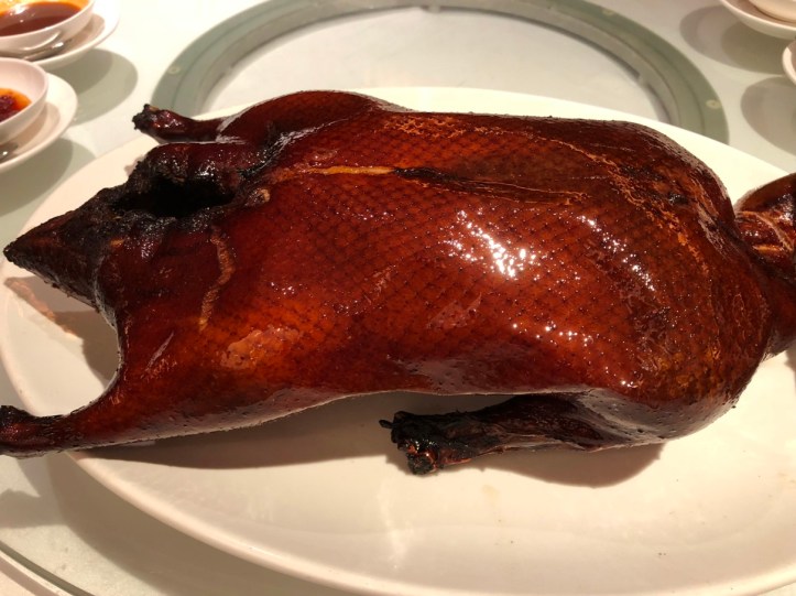 Andrew Iphone 8 Plus 9681