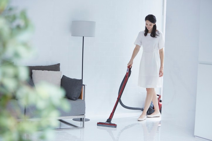 Hitachi - Model Image