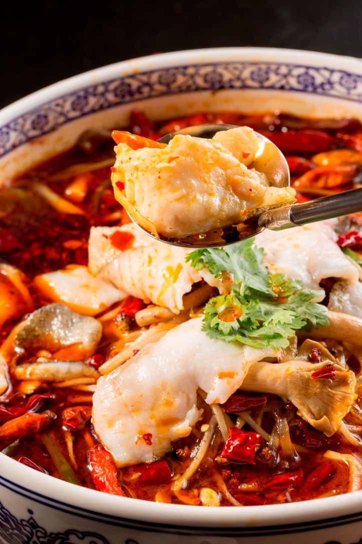 Braised Garoupa Fish Fillet in Chili Oil Soup 2