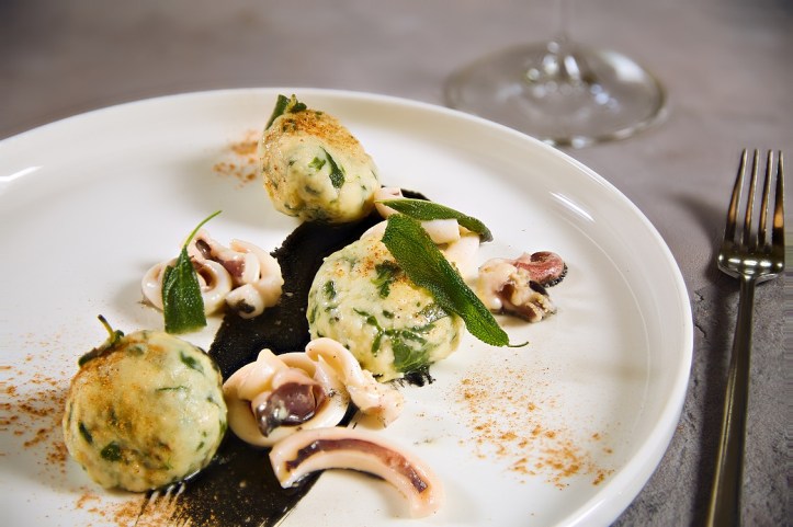 gnudo-front_credits solostepstudio