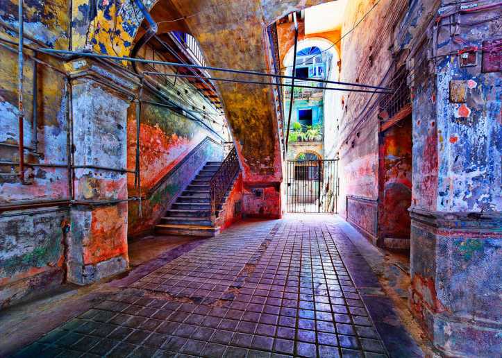 showimg_wpa113_1200_1200