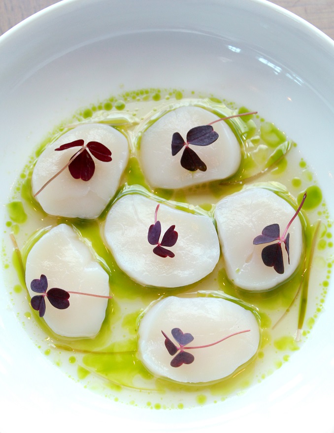 level33_valentine's set_scallop