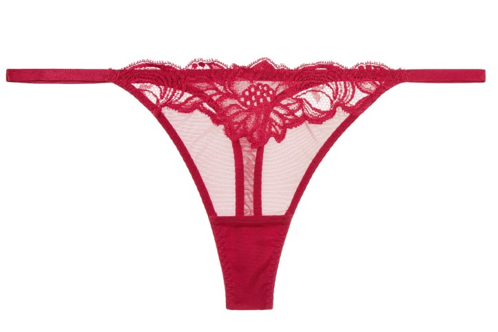 Beaty Street stretch-tulle and Leavers lace thong
