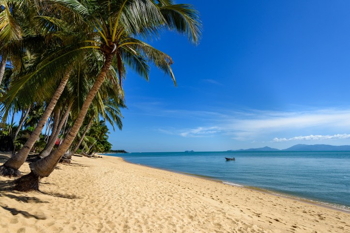 dl_190620_karma_samui_0341