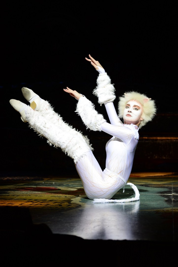 CATS_2014_1398_Photograph of Tour Company by Alessandro Pinna.JPG