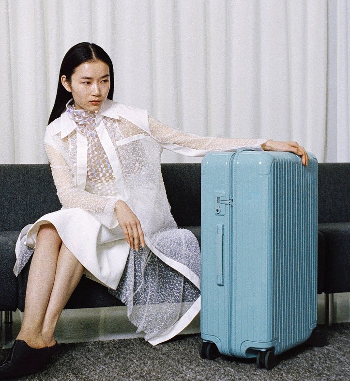 RIMOWA Essential Check-in L in Glacier1