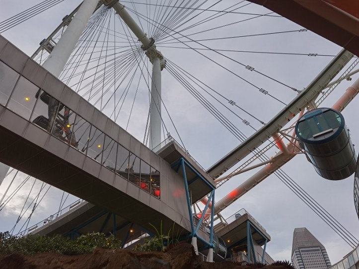 IMG_20201119_183901[1]