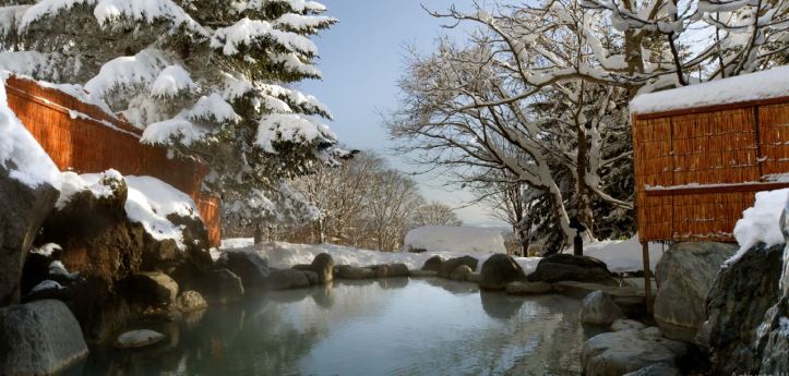 the green leaf onsen